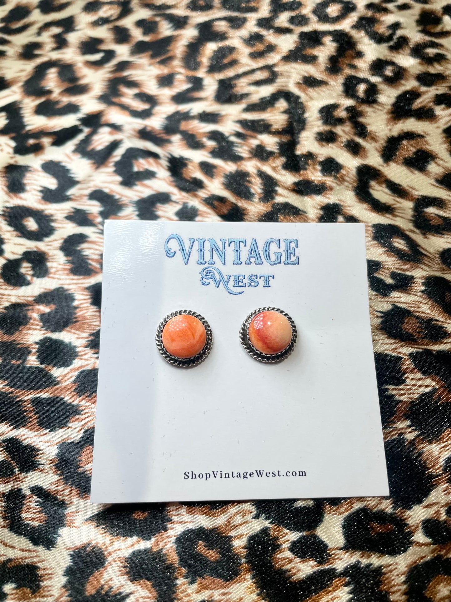 Spiny Oyster Studs